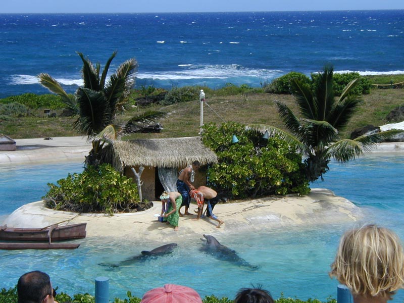 5-oahu-sealifepark-p9300170