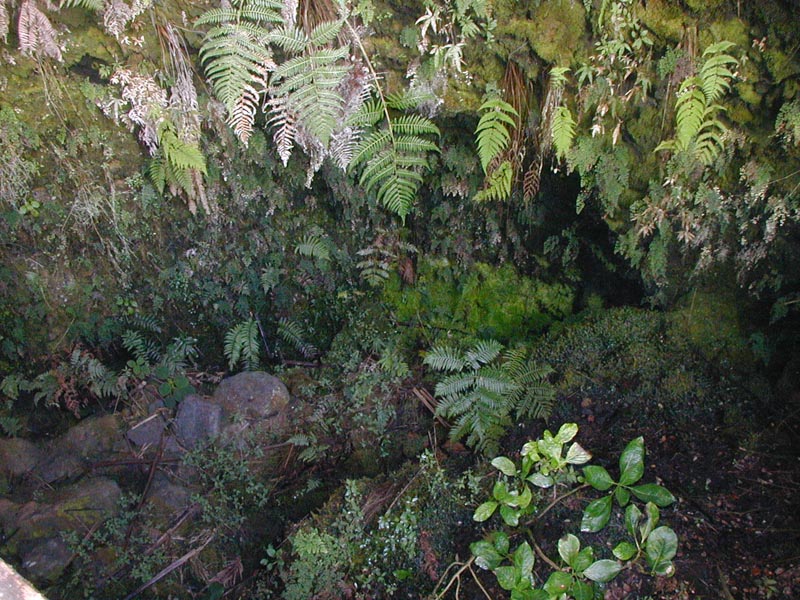 7-hawaii-volcano-pa0020280