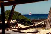 8-hawaii-puako-laura-hammock-1